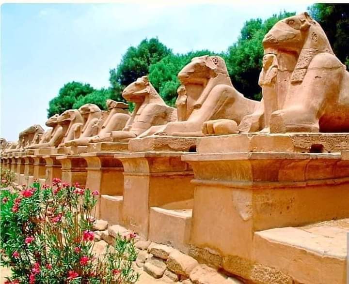 The Opening of the Sphinxes' Avenue in Luxor
